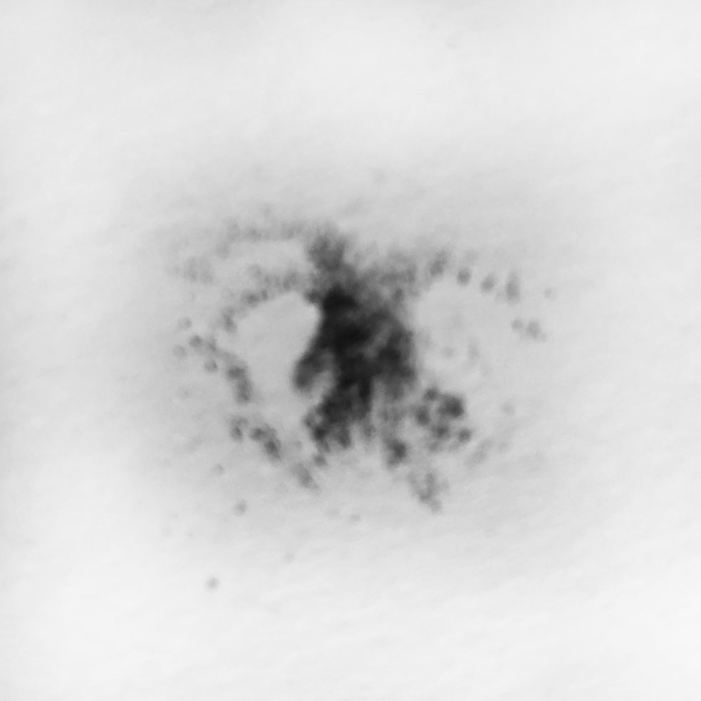 Fergie's noseprint